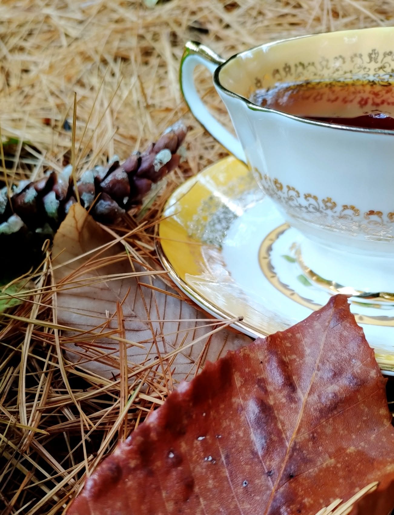 Citrouille et érable Les Thés d'Argenteuil Les Thés d'Argenteuil